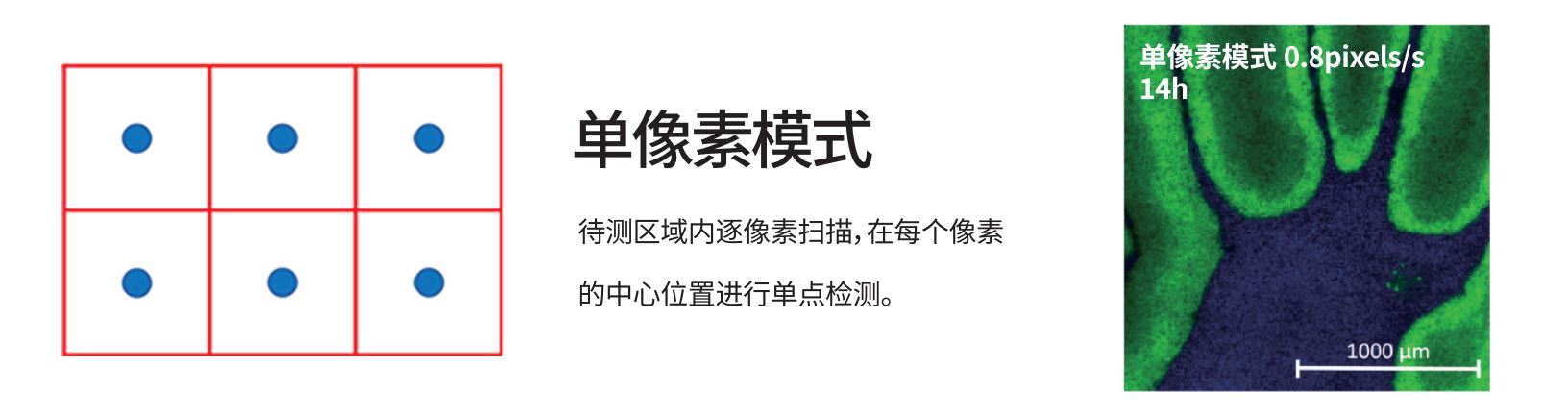 5AF单像素模式