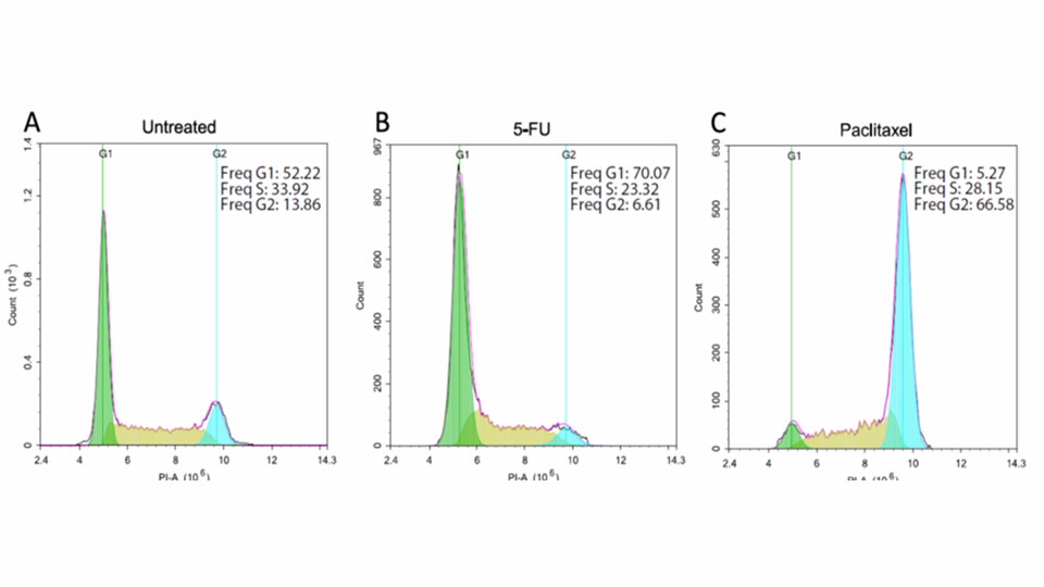 flow cytometry cell cycle analysisx960x540